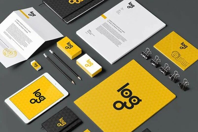 XXL height 11zon e1770696733753