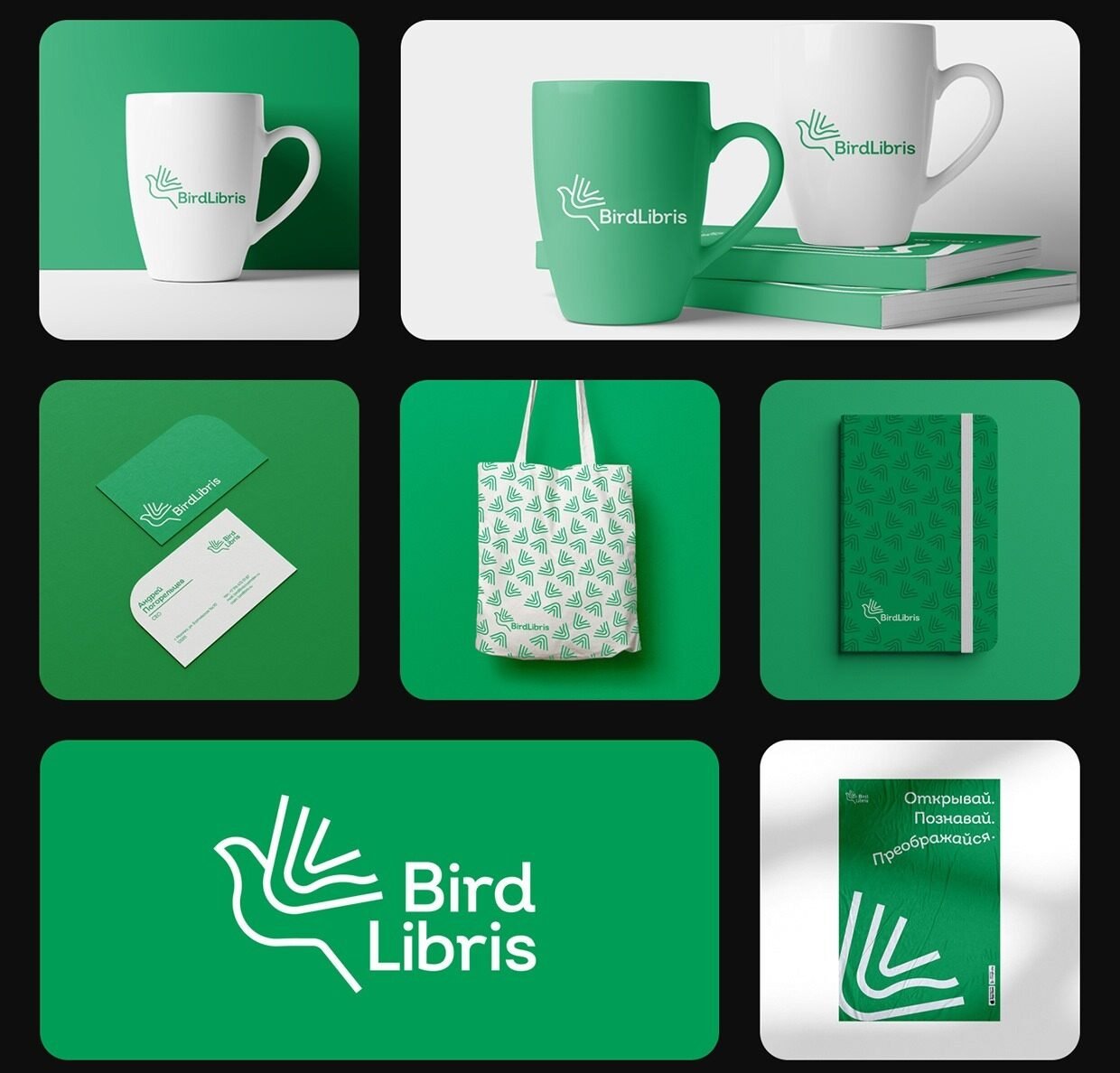 download 37 11zon e1770696713589